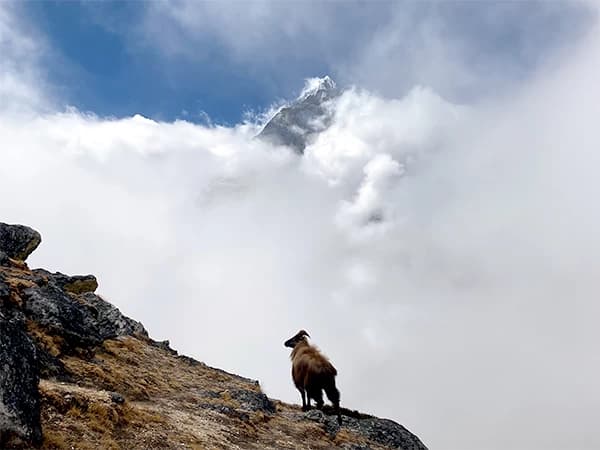 Everest Base Camp Classic Trek - 15 Days