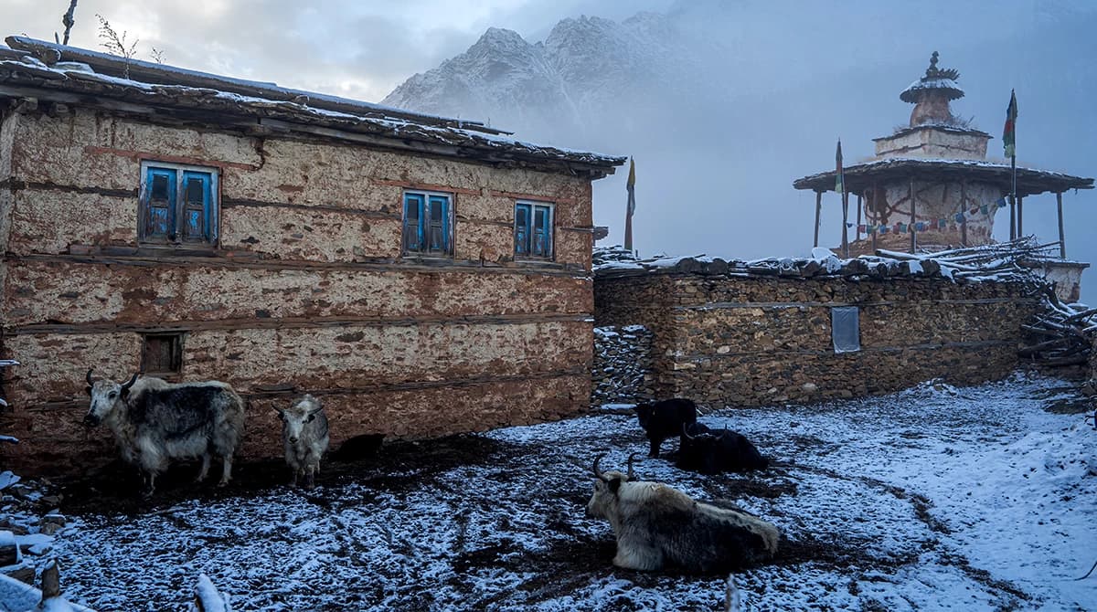 Upper Dolpo Trek - 28 Days