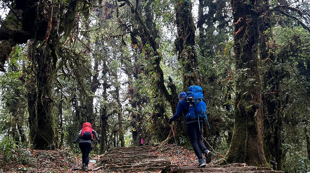 Mardi Base Camp Trek - 11 Days