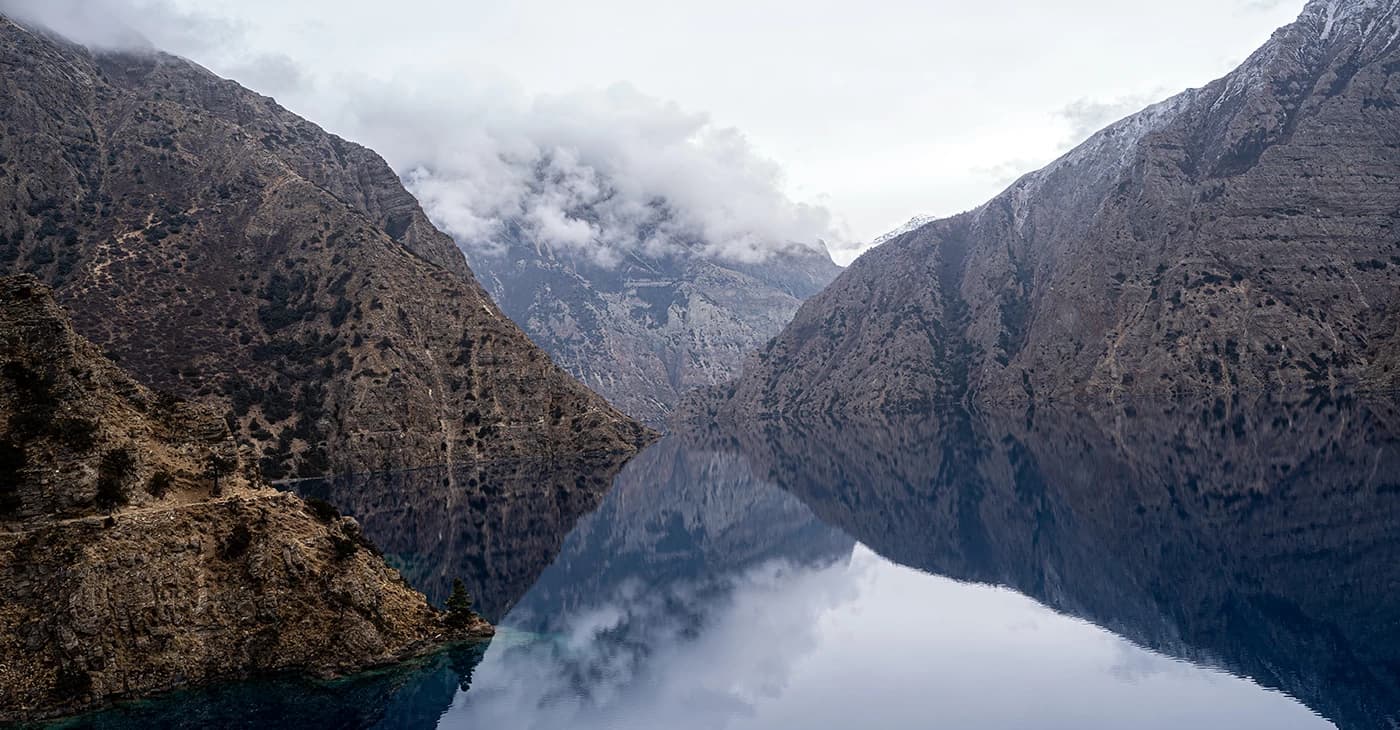 Terms and Conditions