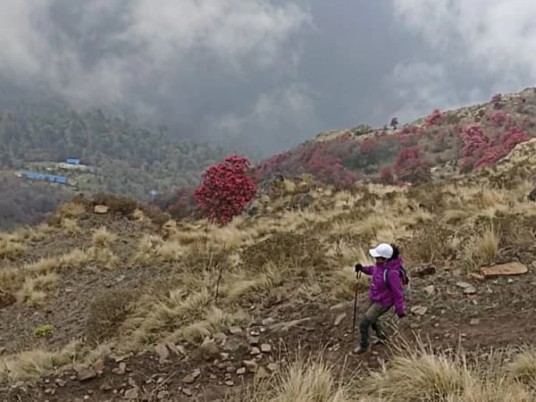 189fc596 54e9 41d6 A9bd A703031da481