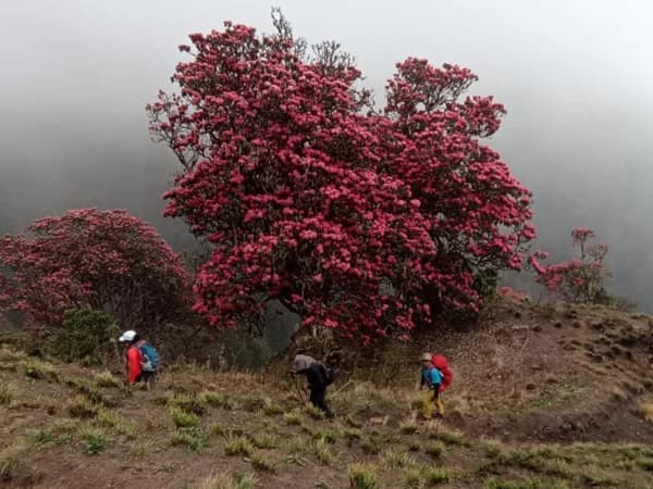 795b38da 2375 4773 B5e0 Df2738fb1ad5