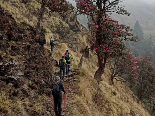 9d3b172e Fd92 4cf2 882a Ae0f1ef668f6