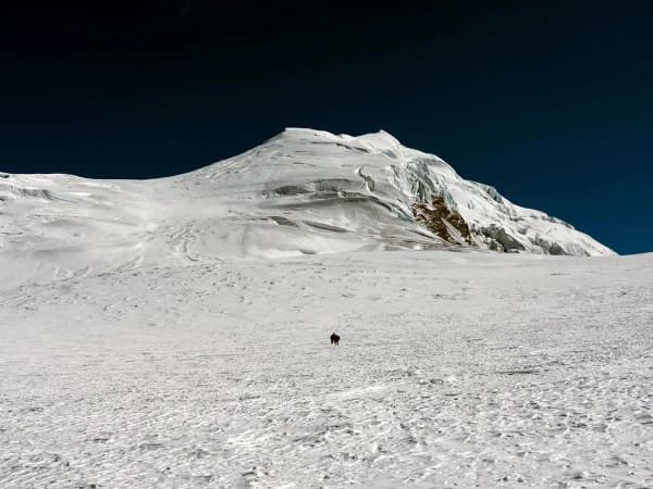 D1b3a31b C771 4c96 8b1a 04268e900304