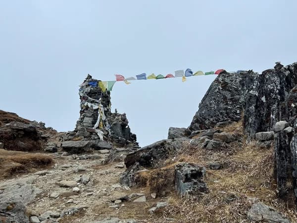 Img 5933